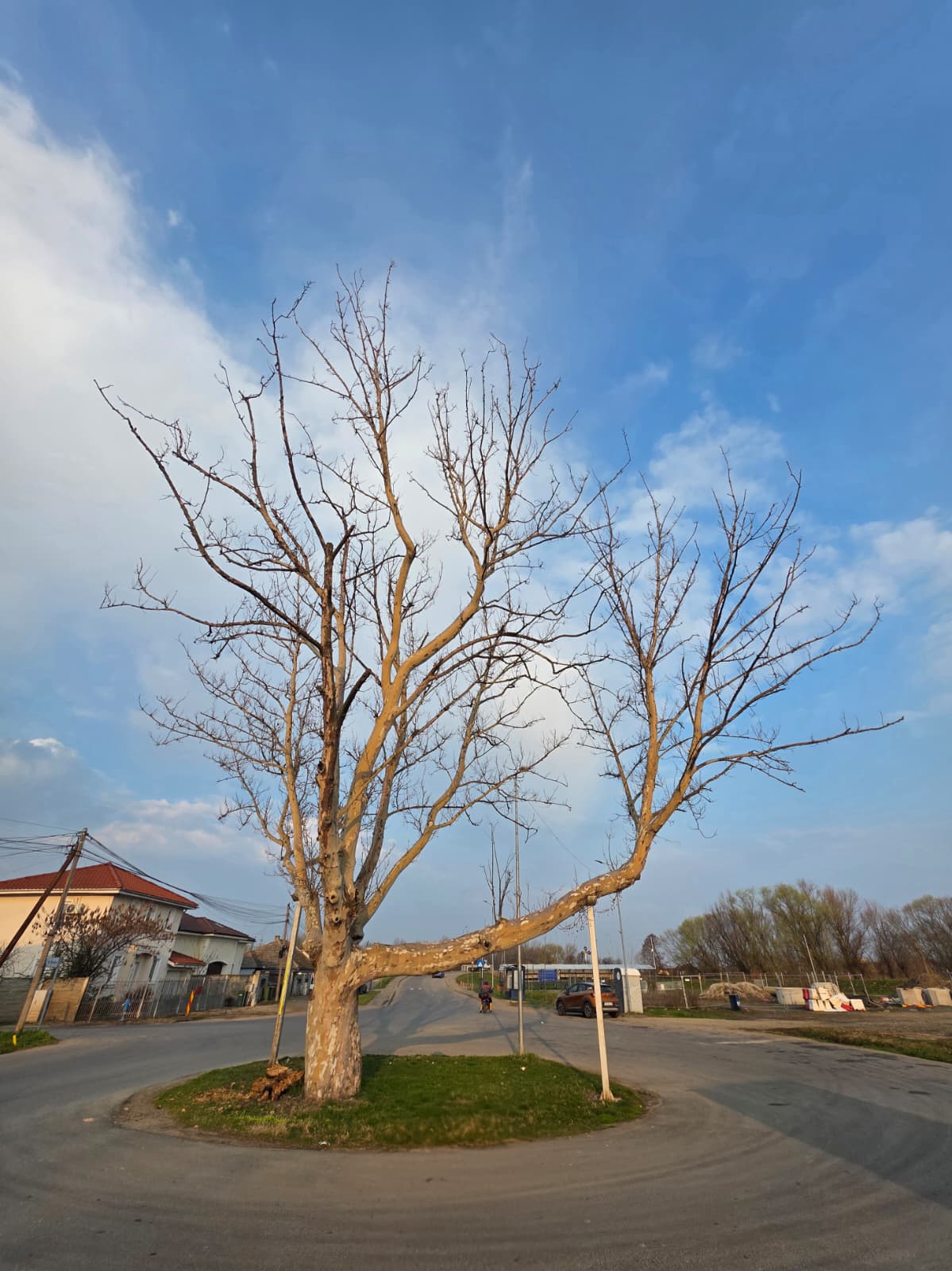 Ce facem când un simbol al comunității nu mai poate rămâne în siguranță printre noi?
