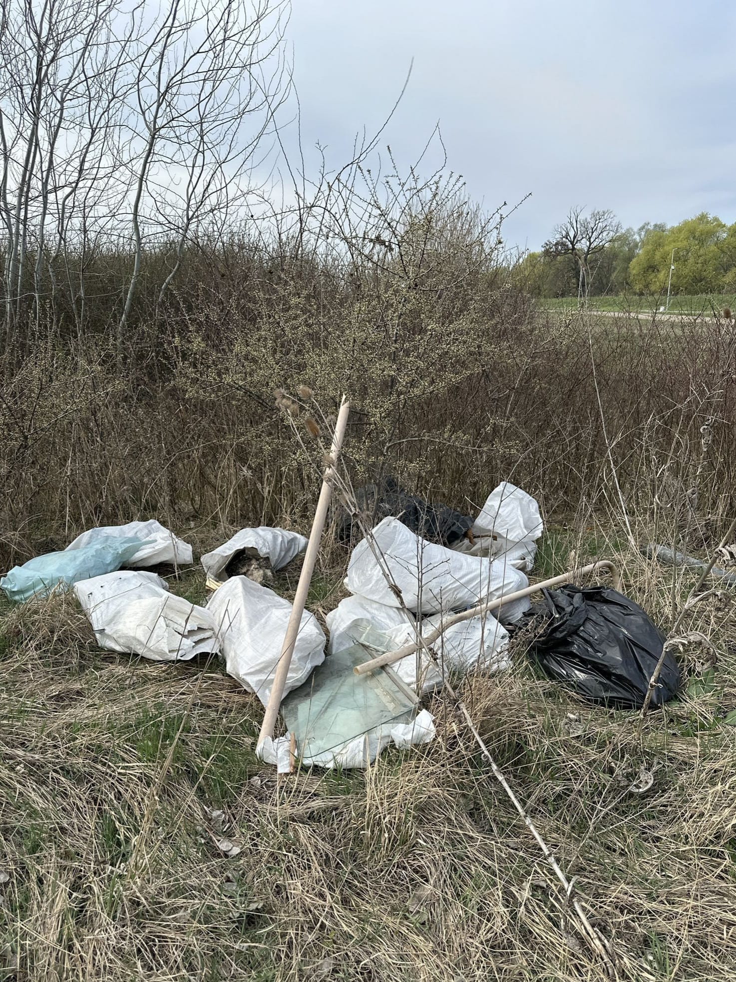 Depozitare ilegală de deșeuri, sancționată de Poliția Locală Ghiroda